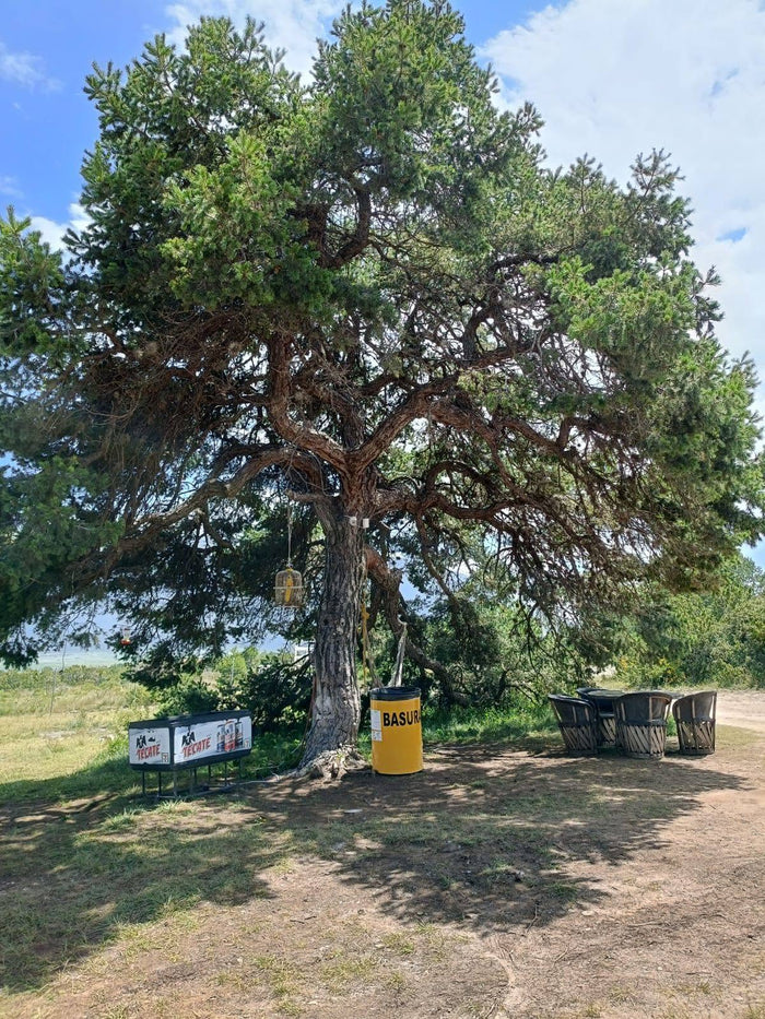 Quinta Campestre Diamante Escondido